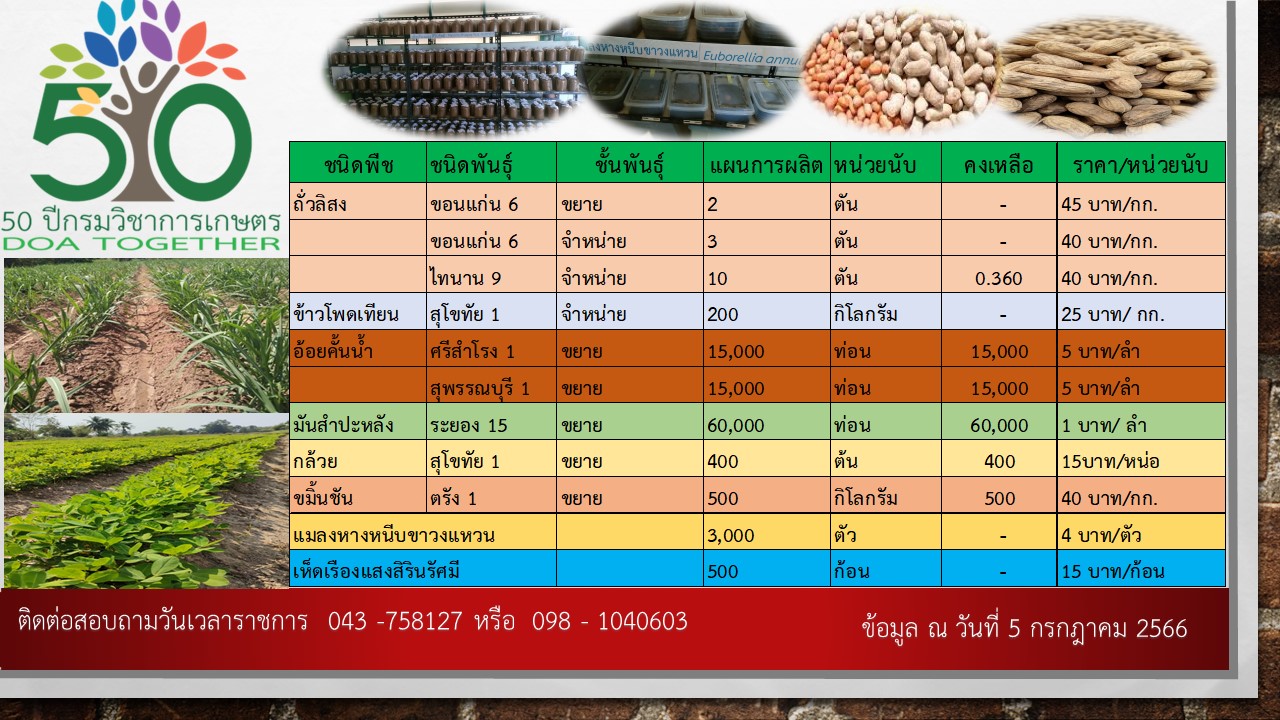 ราคาจำหน่ายเมล็ดพันธุ์ ท่อนพันธุ์ ปัจจัยการผลิต วันที่ 5 กรกฎาคม 2566