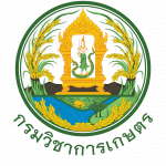 ประกาศเผยแพร่งบทดลอง ประจำเดือน กันยายน  2568