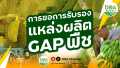 การขอการรับรองแหล่งผลิต GAP พืช